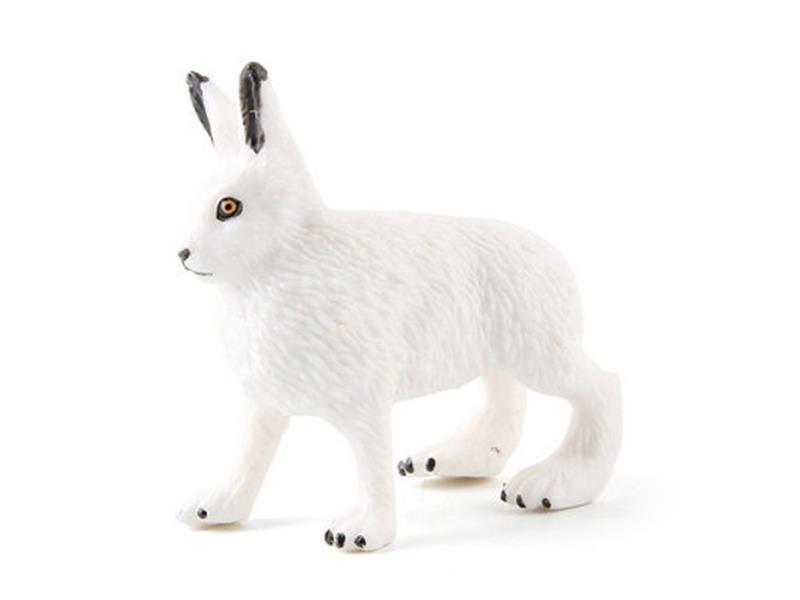 Arctic Hare