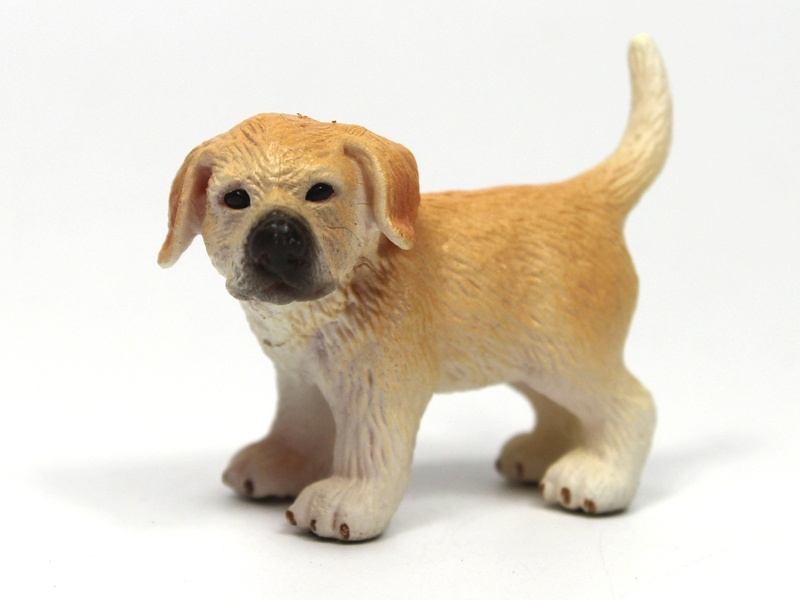 Standing Little Golden Retriever