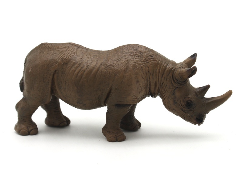 Female Rhinoceros