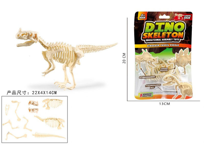 Assemble The Skeleton Of The Ceratosaurus