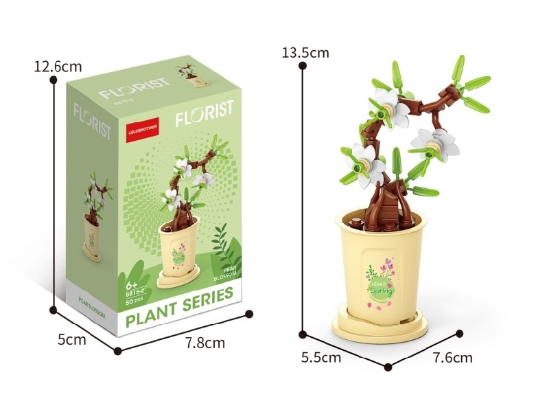 50 Pcs Of Rain Pear Blossoms