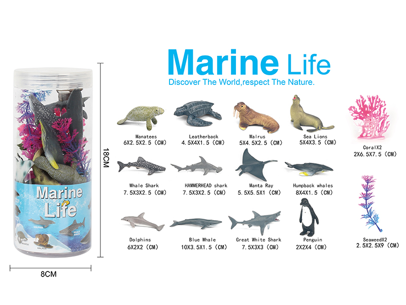 Sea Animal Set 16pcs