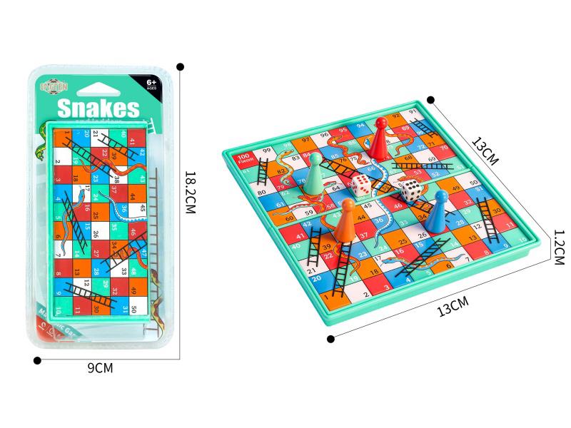 Magnetism Snake Ladder Game