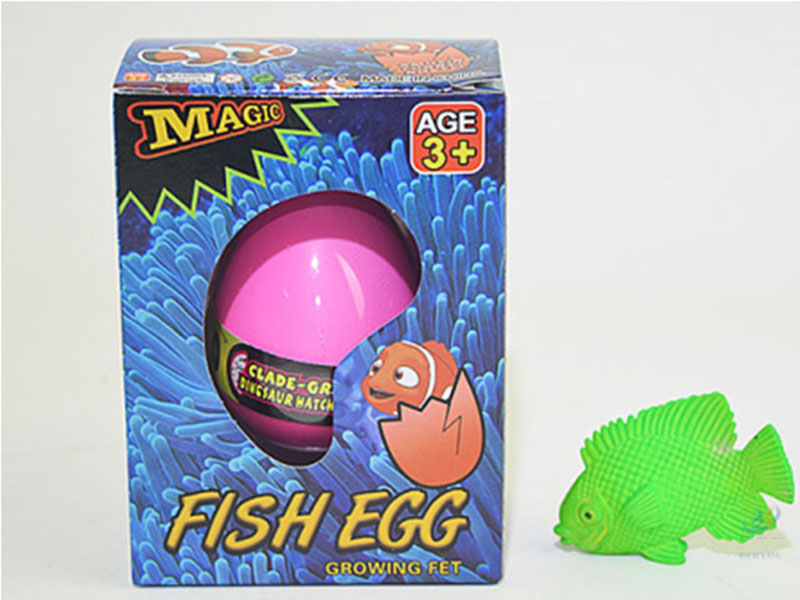 Hatching Eggs 12pcs
