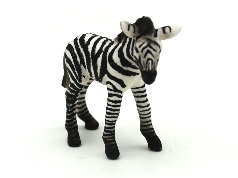 Little Zebra