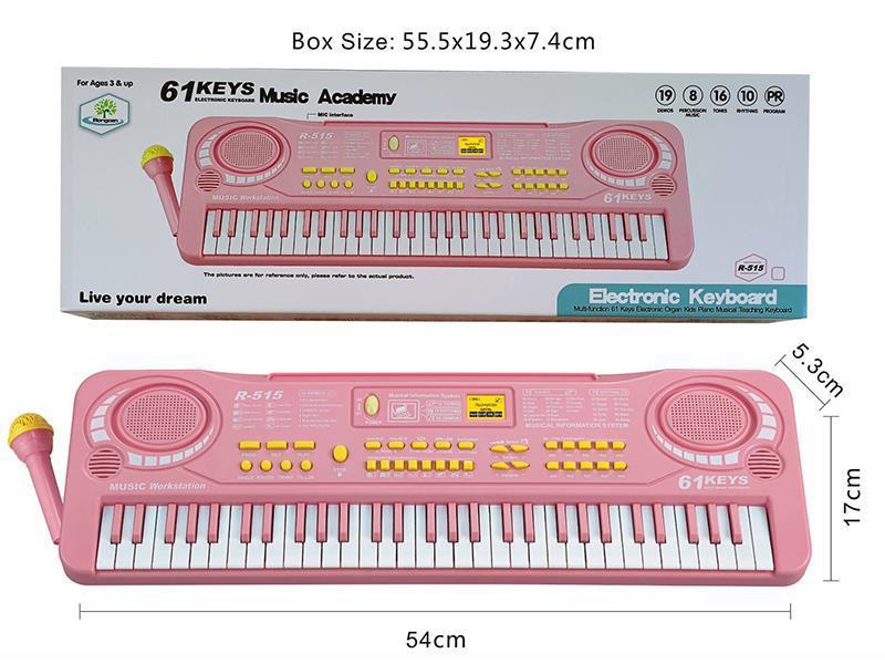 61 Keys Electronic Organ