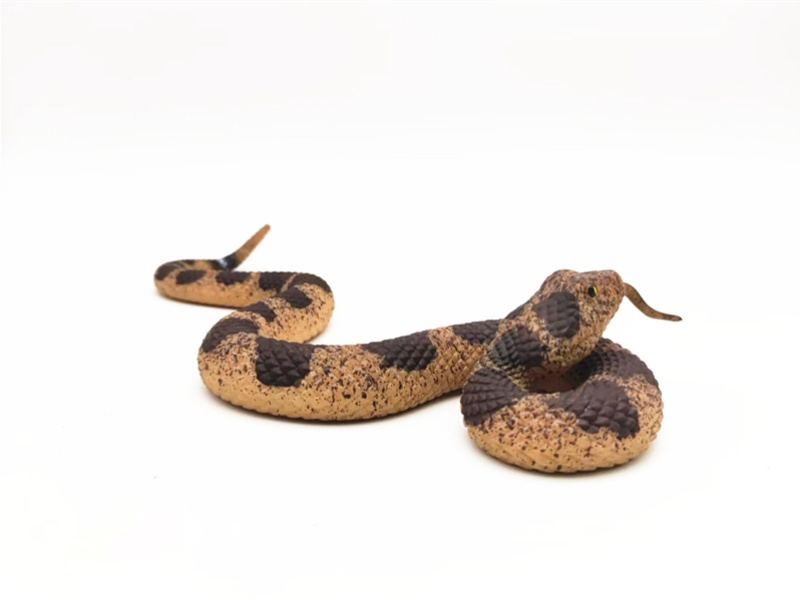 Rattlesnake Model