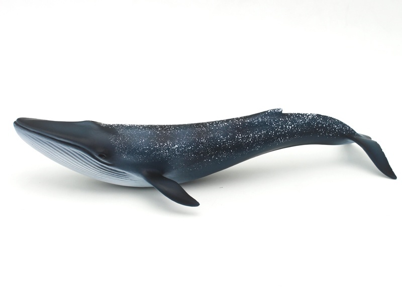 Blue Whale (Leap)