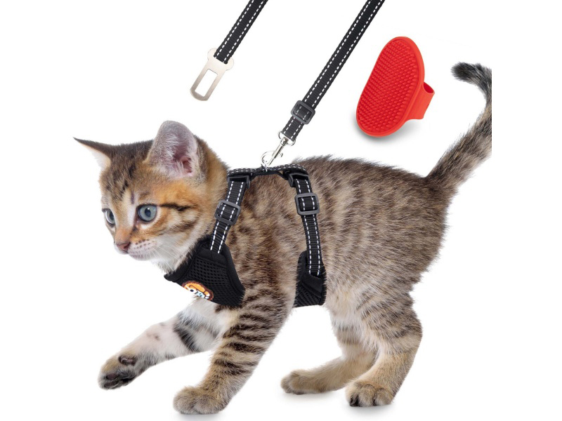 Cat Harness Set
