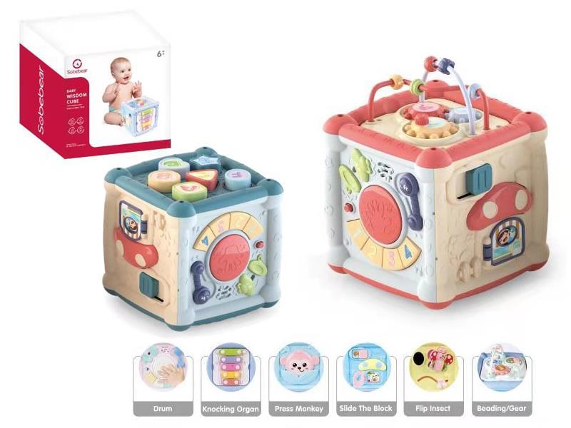 Baby Wisdom Cube