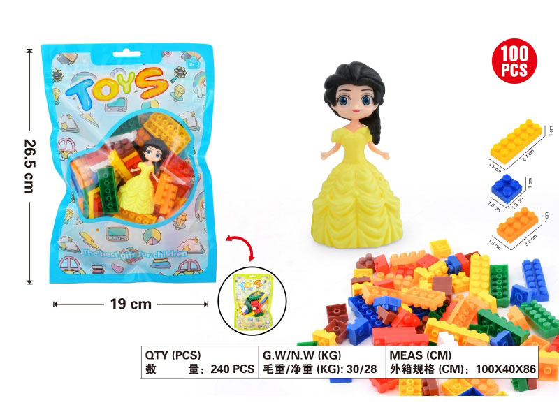 Small Granular Building Block Puzzle Toys With The Princess'S Surname