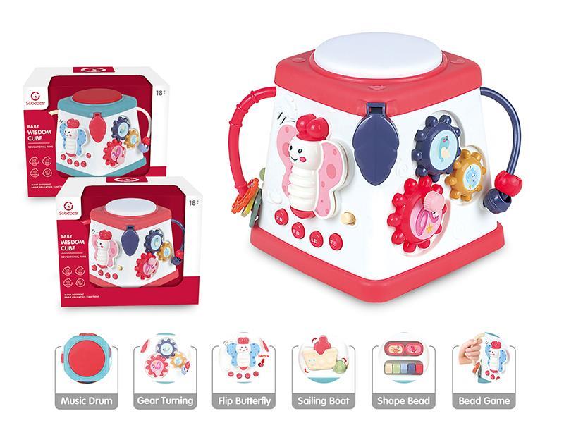 Baby Wisdom Cube