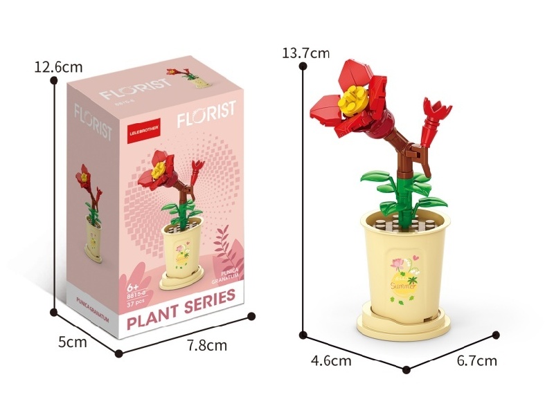There Are 37 Pcs Of Pomegranate Flowers In The Minor Fullness Period