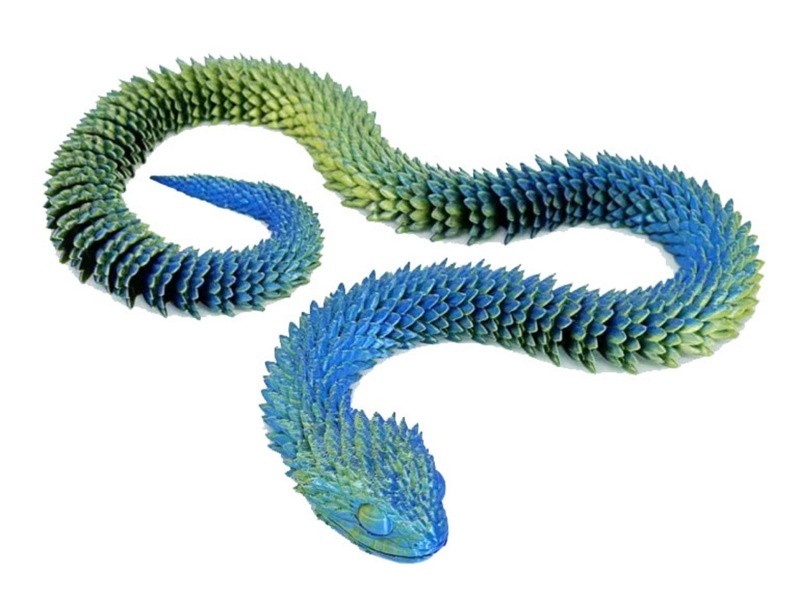 Bush Viper, 30Cm