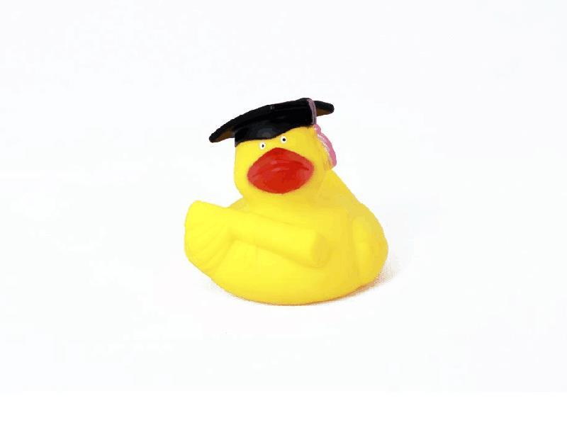 Vinyl Duck