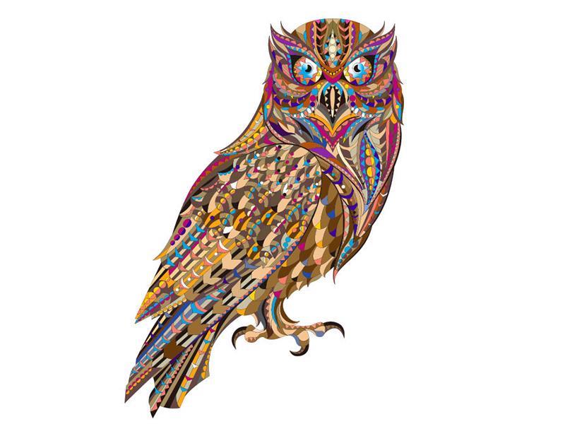 Wooden Irregular Shaped Puzzle(Owl)