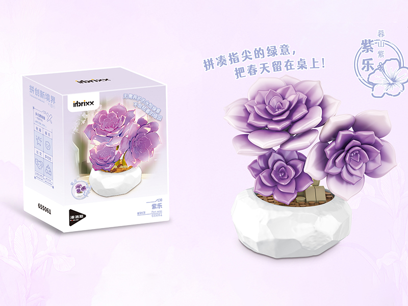 Plant Series Small Particle Building Blocks - Graptopetalum 'Purple Delight' 78CS