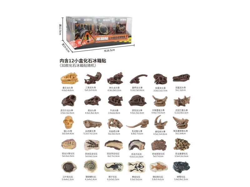 Mini Fossil Fridge Magnets