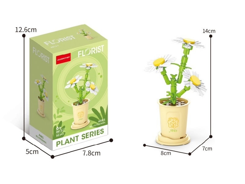 Aries Daisies 50 Pcs