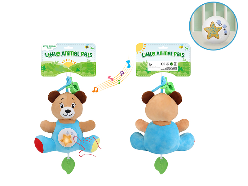 Plush Bear With Projection