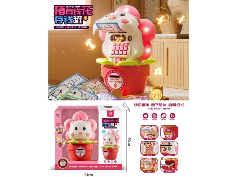 Piggy Bank For Pig Money