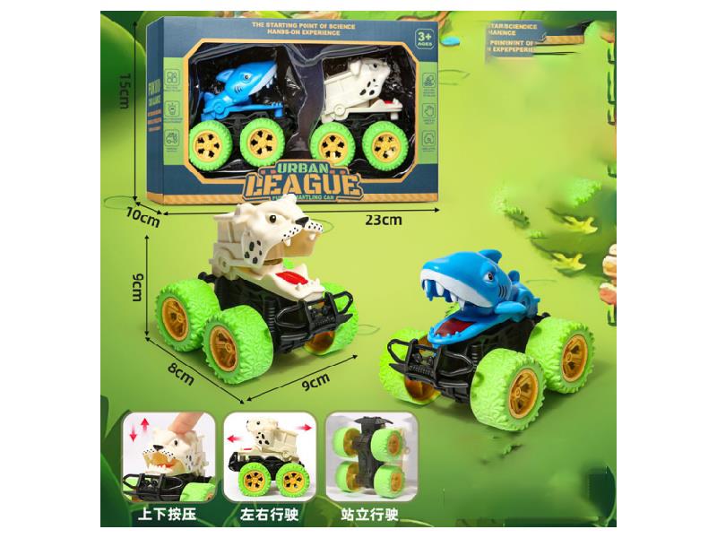 A Shark Dog In A Color Box