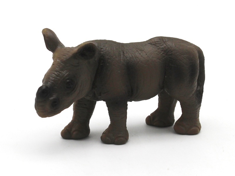 Little Rhinoceros