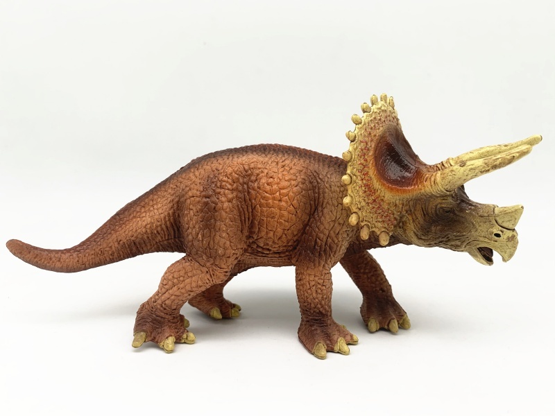 Triceratops