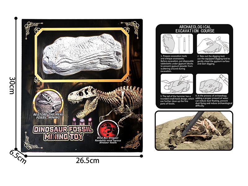 Archaeological Dinosaur Fossil