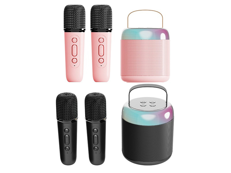 Wireless Bluetooth Karaoke Speaker(Double Microphone)