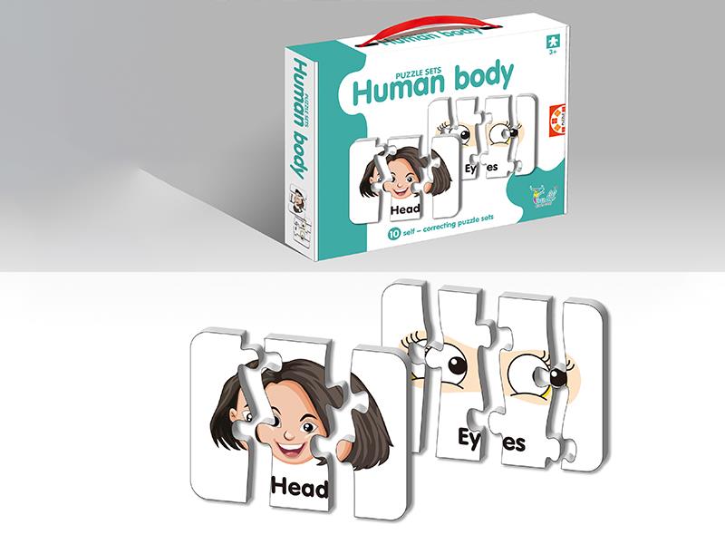 10PCS Human Organ Match Puzzle Sets