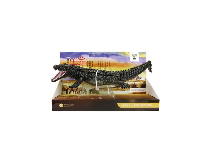 13-Inch Crocodile