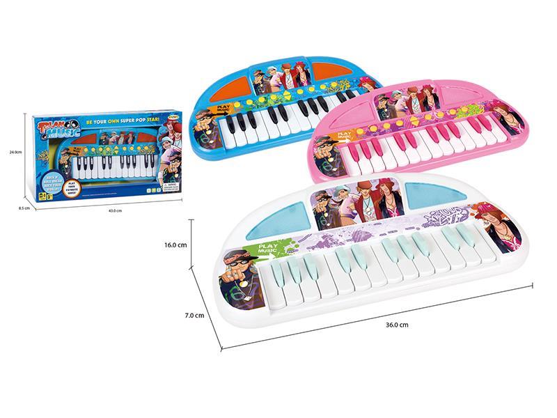 24 Keys  Electronic Organ