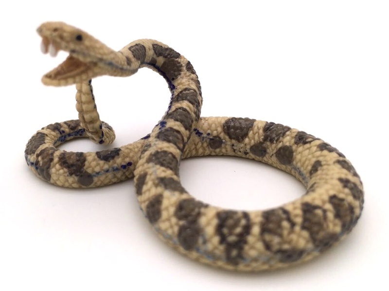 Rattlesnake