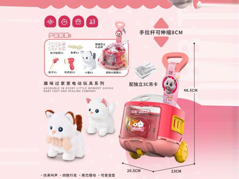 Cute Pet Recommendation Box