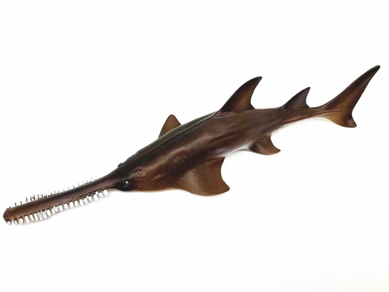 Sawfish