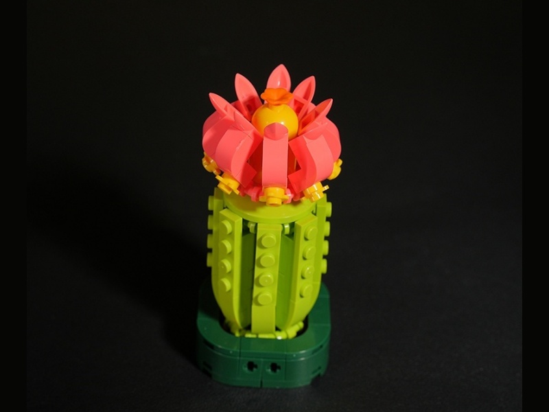 Plant Building Blocks - Cactus