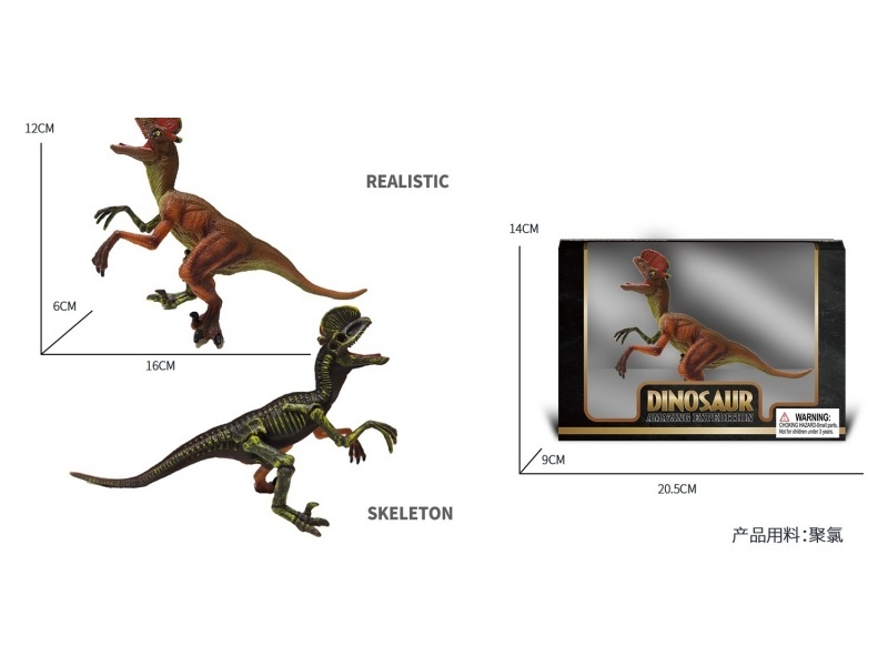 Semi-Skeleton - Double-Crested Dragon Simulation Dinosaur Toy