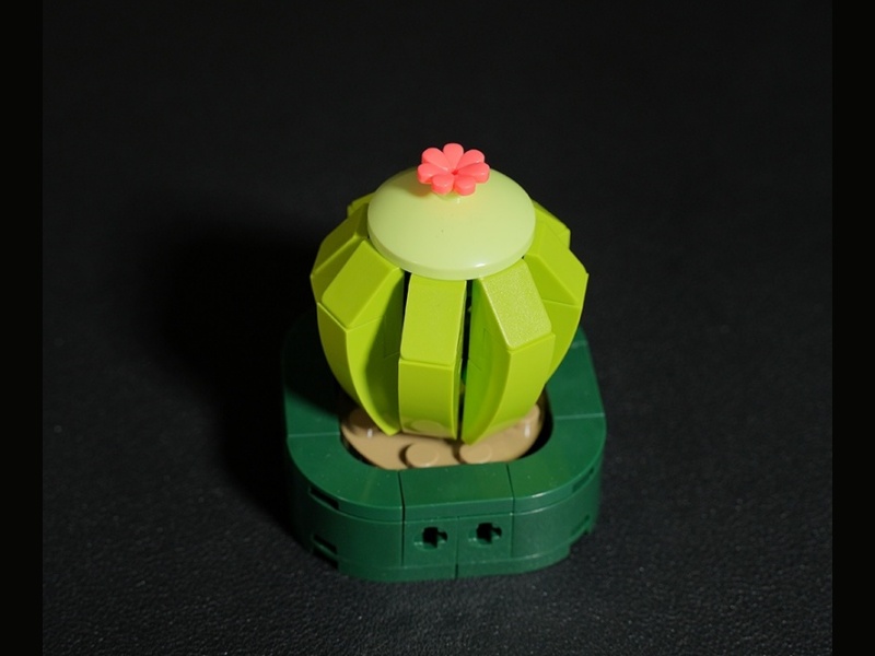 Plant Building Blocks - Ball Cactus