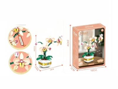 Building Blocks: 323 Pieces Of Phalaenopsis