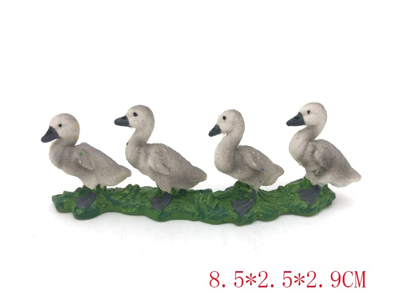 A Group Of Tundra Swans