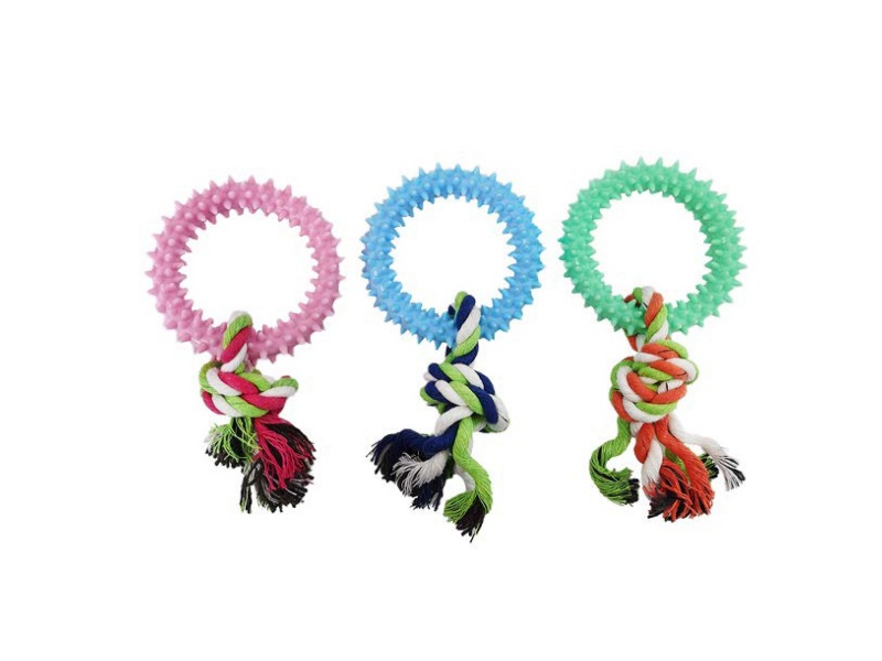 A Pet Toy With A Rope Knot And Bright Barbed Ring