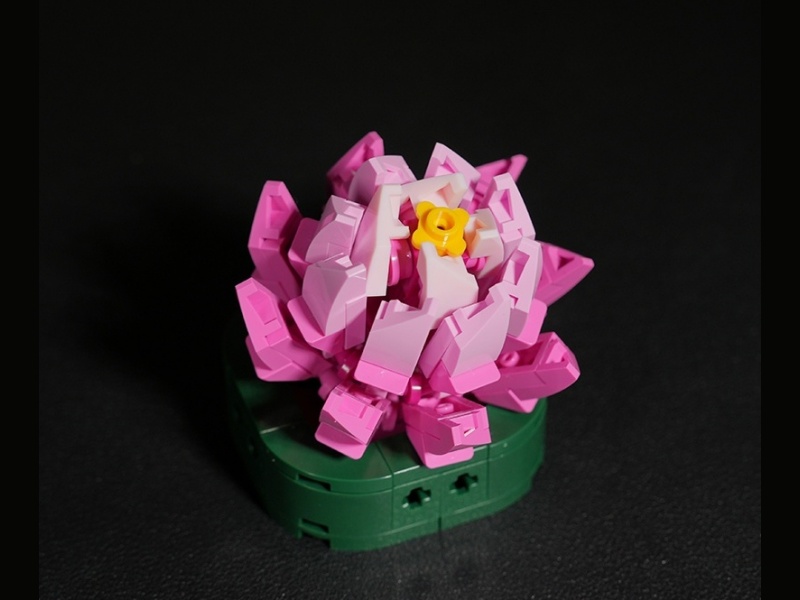 Plant Building Blocks - Purple Peonies