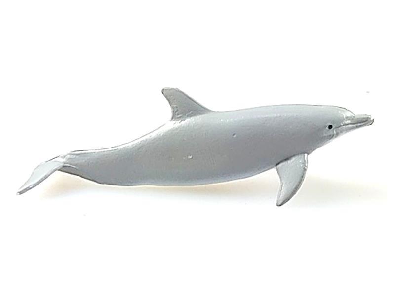 Dolphin