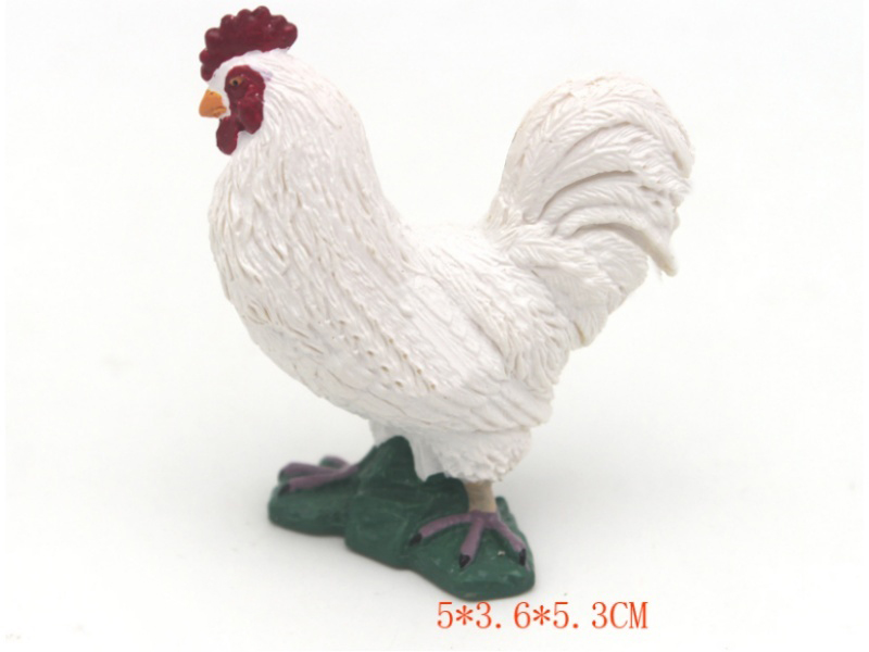 White Rooster
