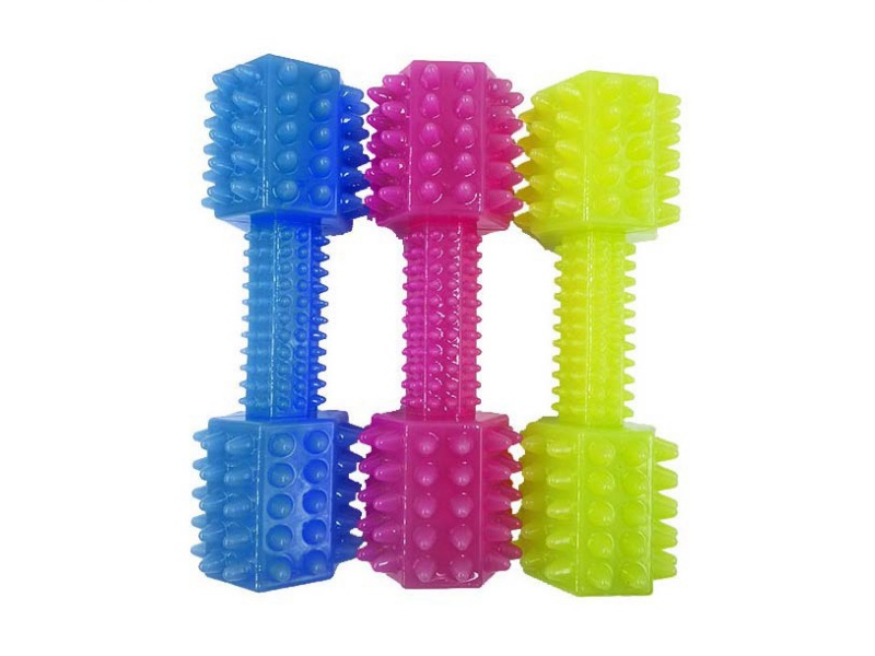 Spiny Barbell Pet Toy