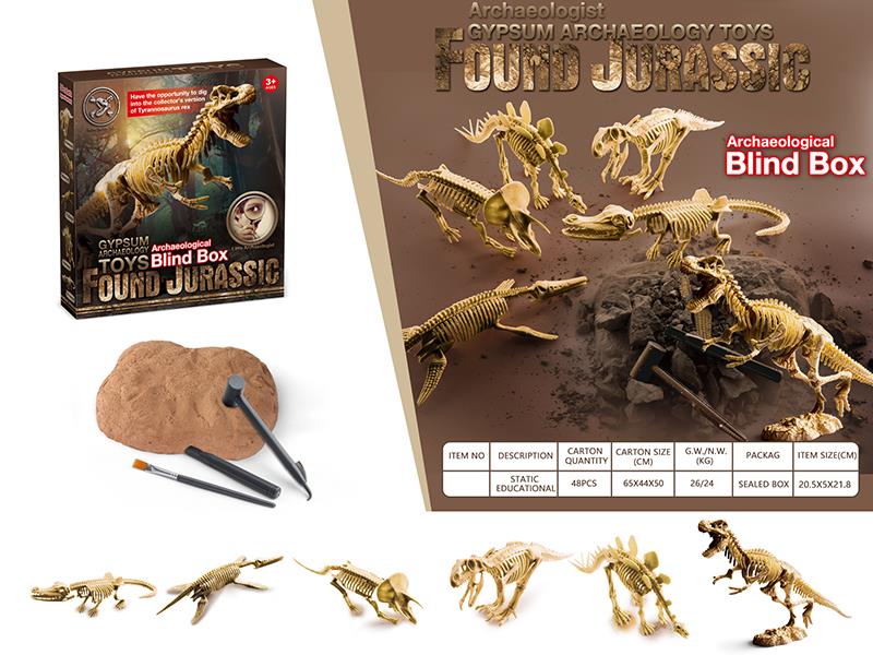 Dinosaur Fossil Archaeological Toy