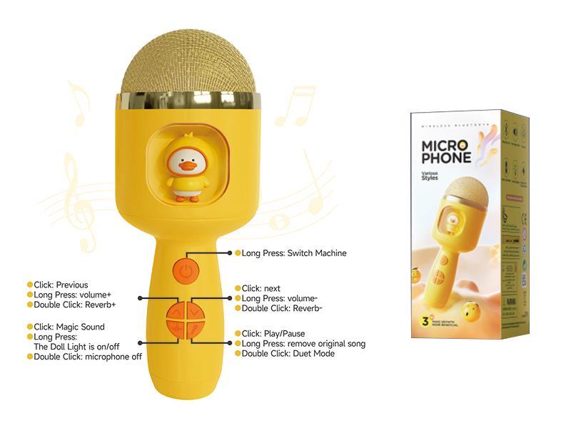 Children's Microphone