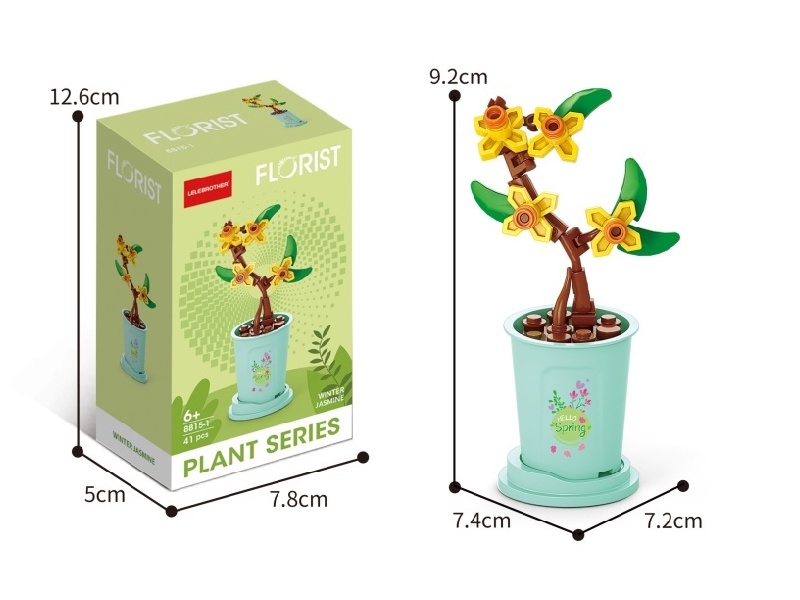 41 Pcs Of Winter Jasmine On The Start Of Spring