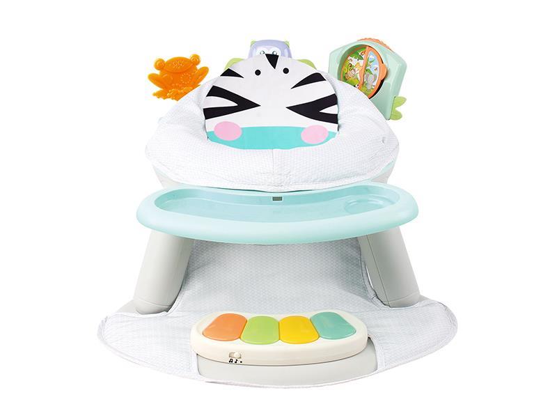 2 In 1 Fitness Dinning Chair